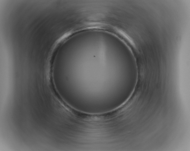 X0000113051411200909031323