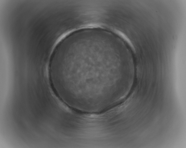 X0000113051412200909031323