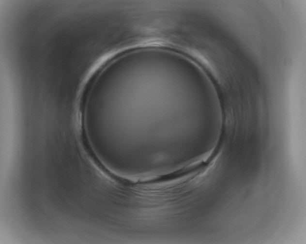 X0000113051414200909031323