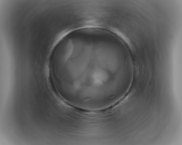 X0000113051415200909031323