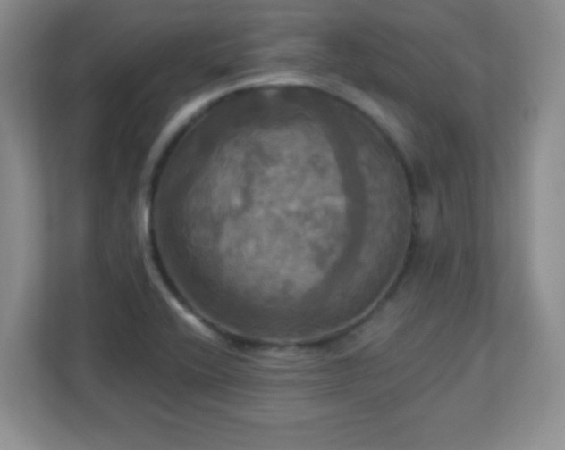 X0000113051416200909031323