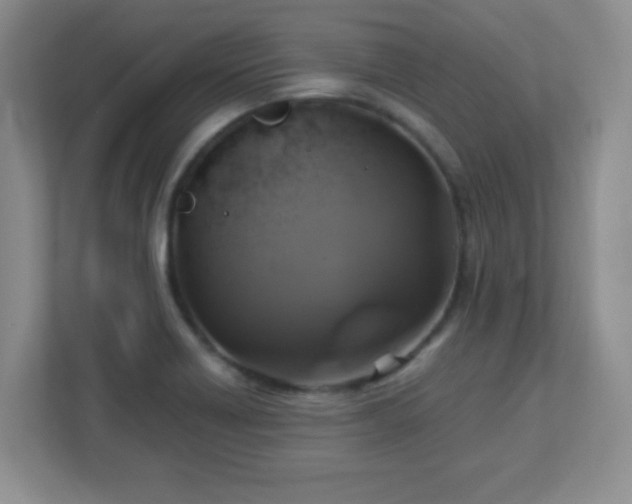 X0000113051418200909031323