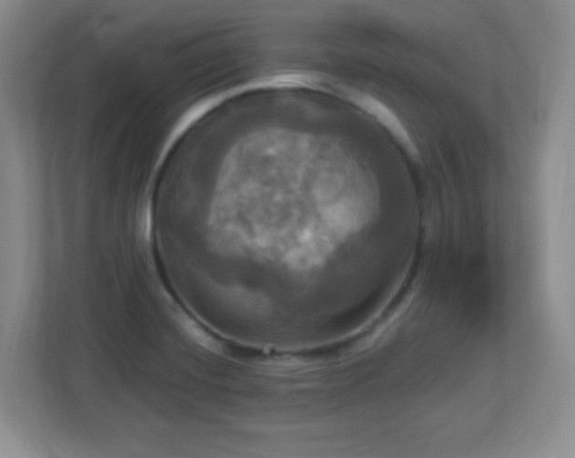 X0000113051420200909031323