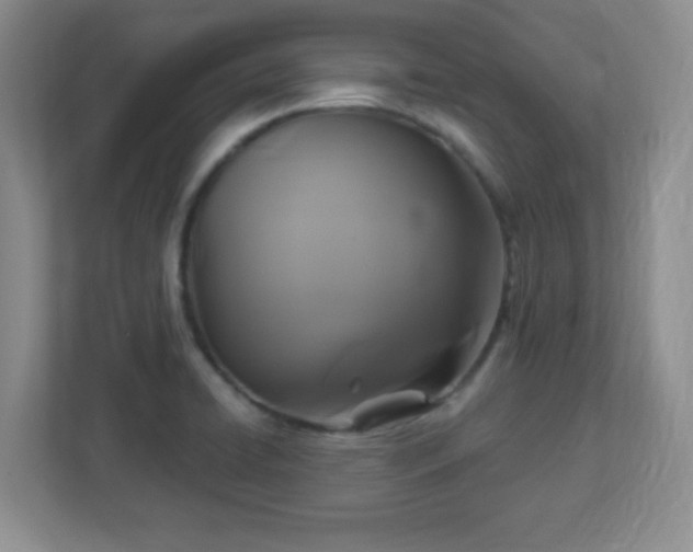 X0000113051422200909031323