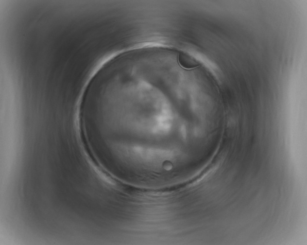 X0000113051423200909031323