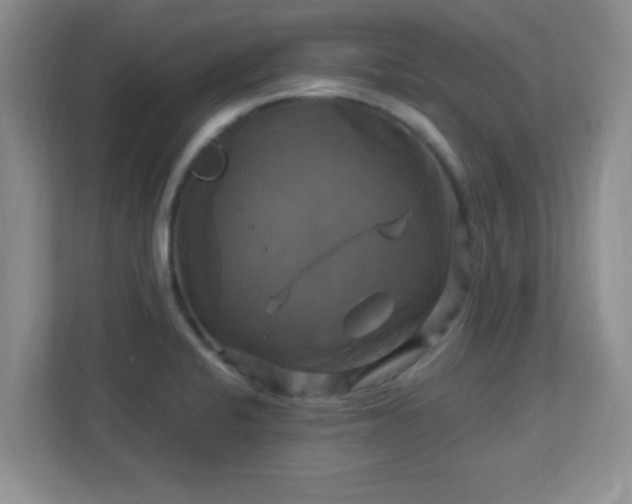 X0000113051424200909031323