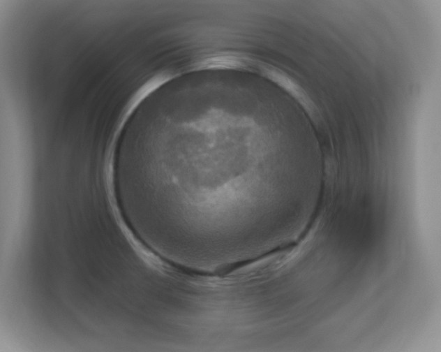 X0000113051426200909031323