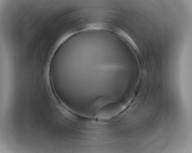 X0000113051427200909031323