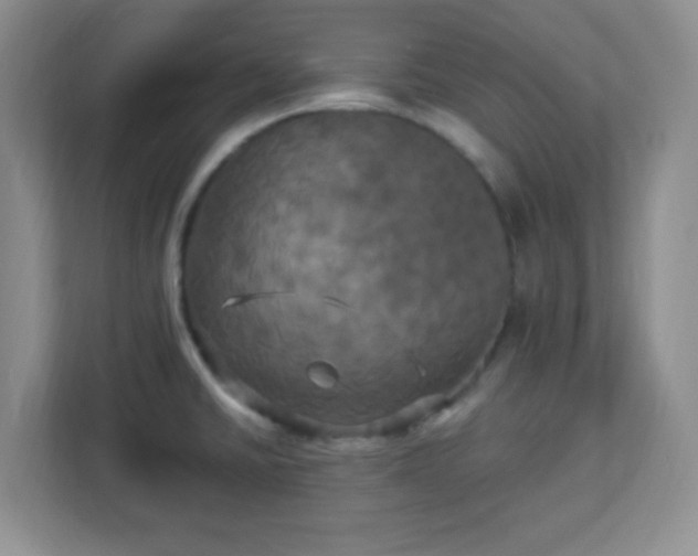 X0000113051430200909031323