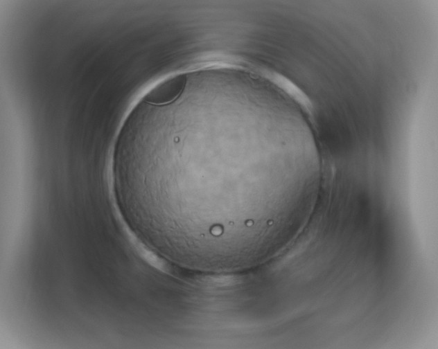 X0000113051431200909031323