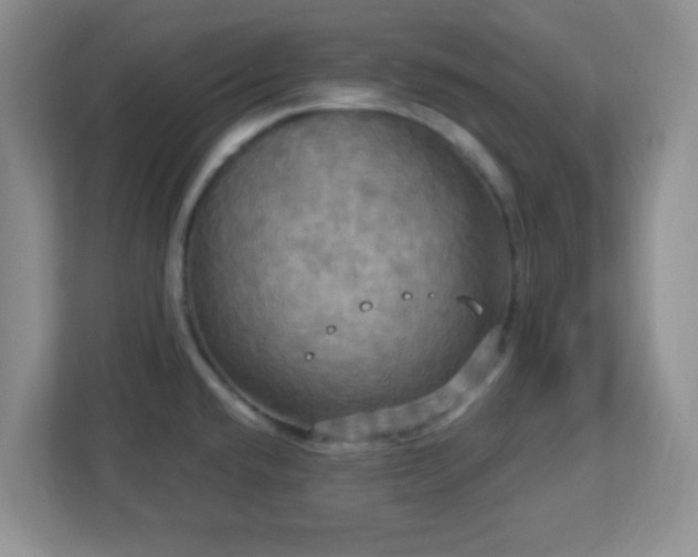 X0000113051432200909031323