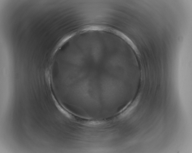 X0000113051433200909031323