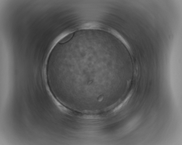 X0000113051434200909031323