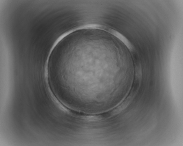 X0000113051436200909031323