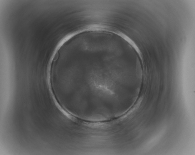 X0000113051437200909031323