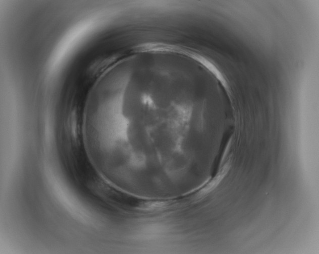 X0000113051438200909031323