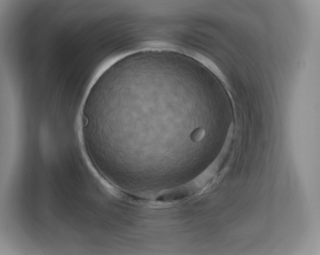 X0000113051440200909031323