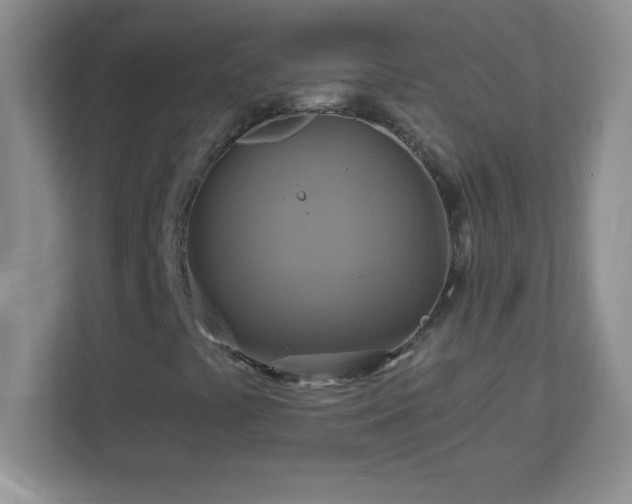 X0000113051441200909031322