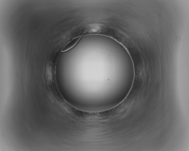 X0000113051442200909031322