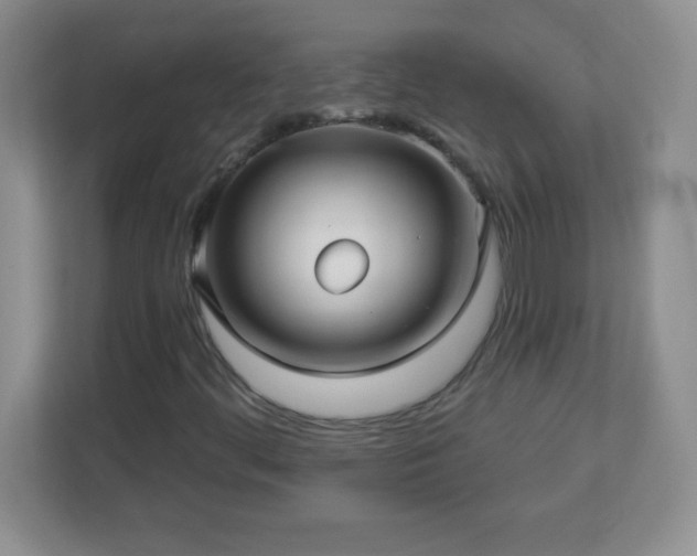 X0000113051444200909031322