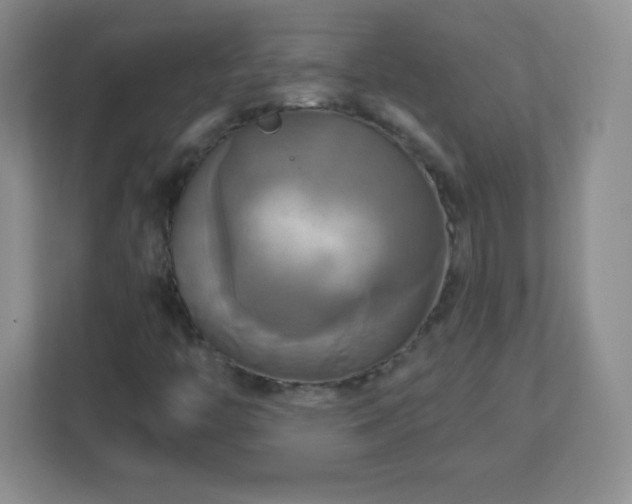 X0000113051446200909031322