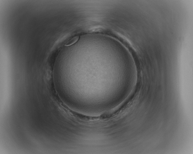 X0000113051447200909031322