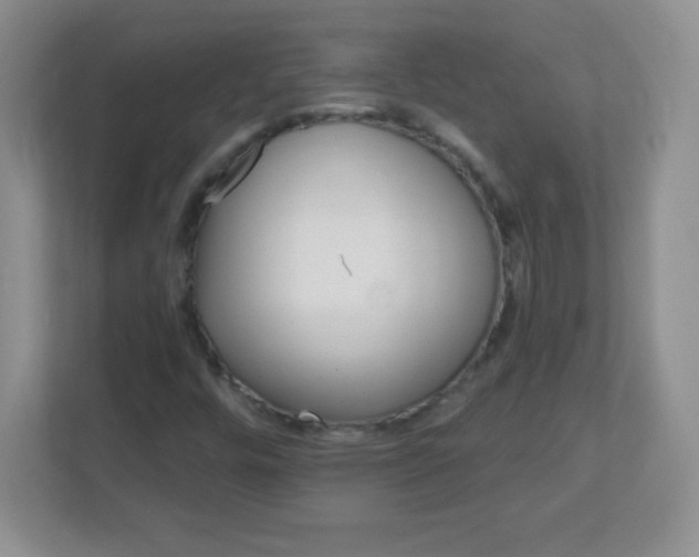 X0000113051448200909031322