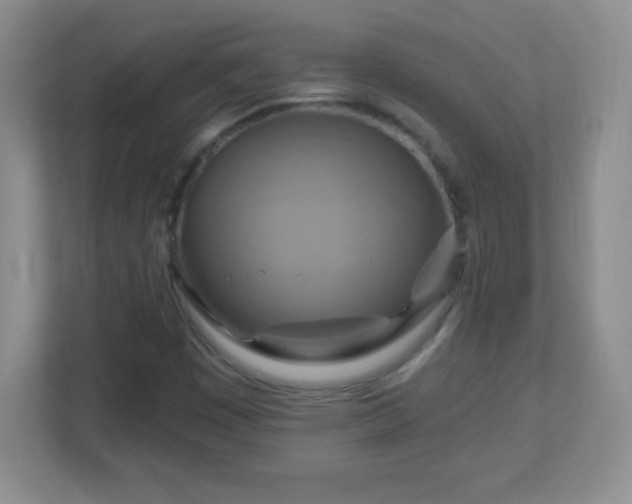 X0000113051449200909031322