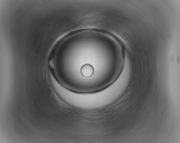 X0000113051452200909031322