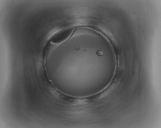 X0000113051453200909031322