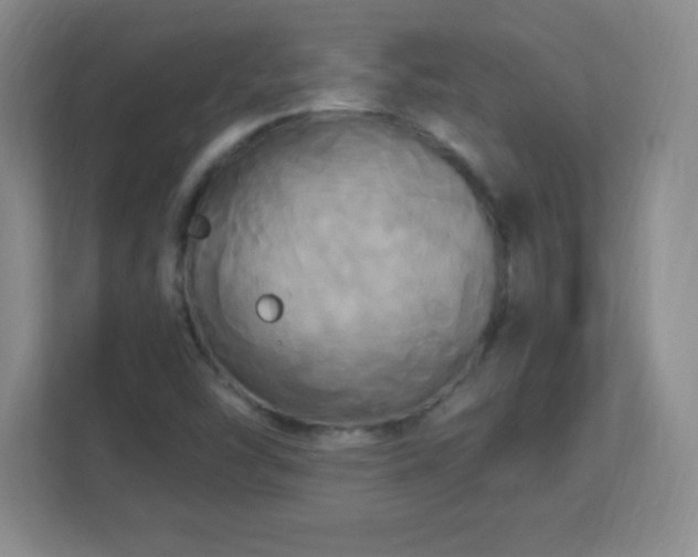 X0000113051454200909031322