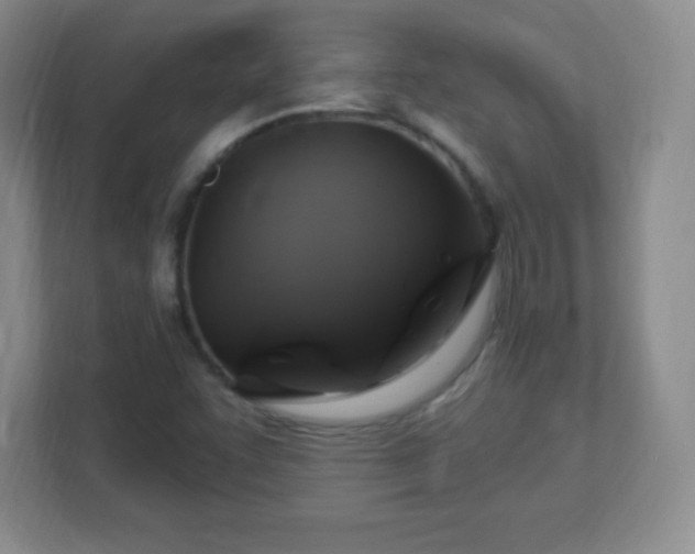 X0000113051455200909031322