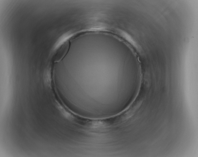 X0000113051456200909031322