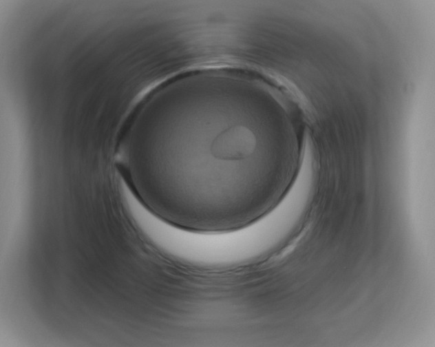 X0000113051457200909031322