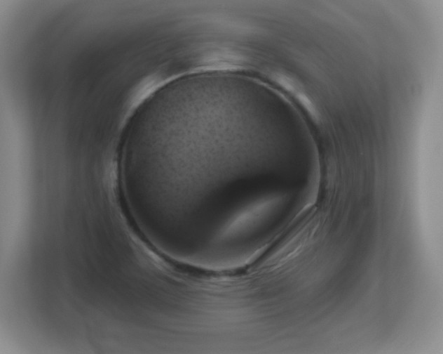 X0000113051459200909031322