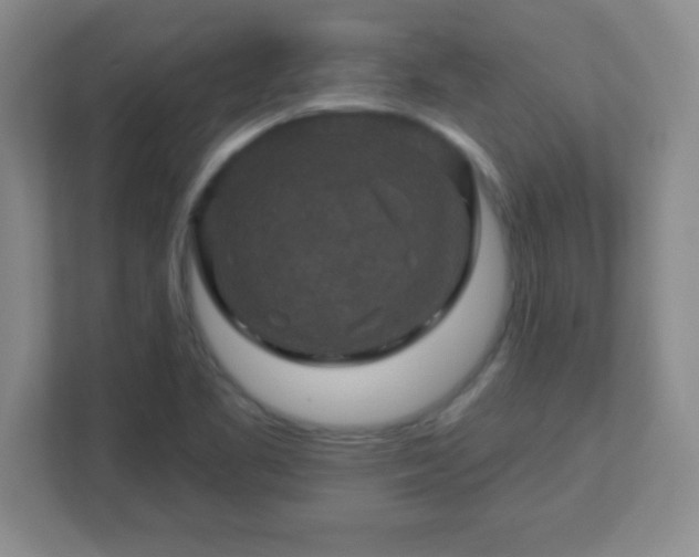 X0000113051461200909031322