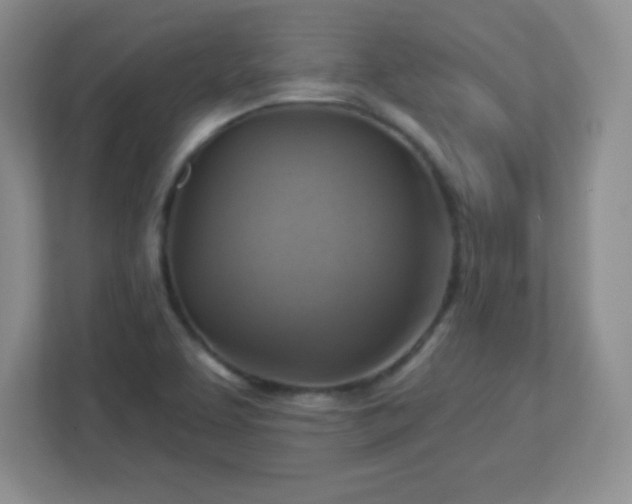 X0000113051463200909031322