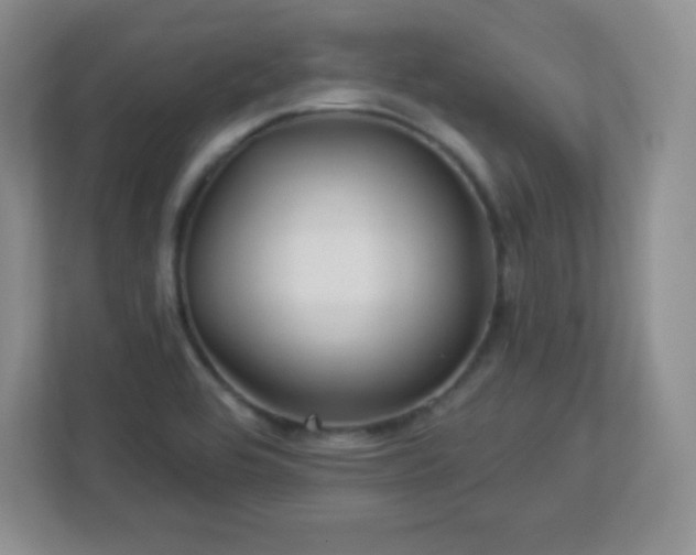 X0000113051464200909031322