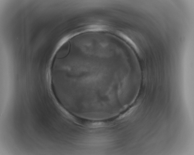 X0000113051467200909031322