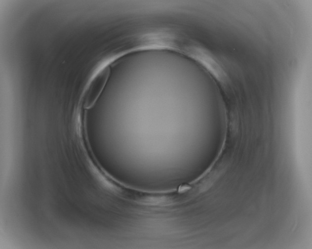 X0000113051468200909031322