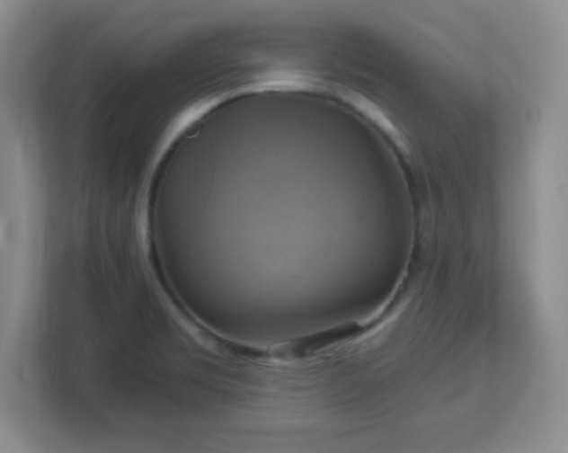 X0000113051469200909031322