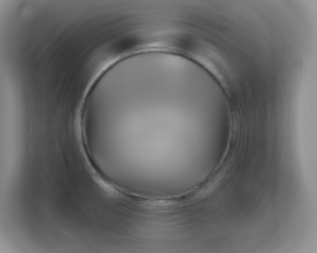 X0000113051474200909031322