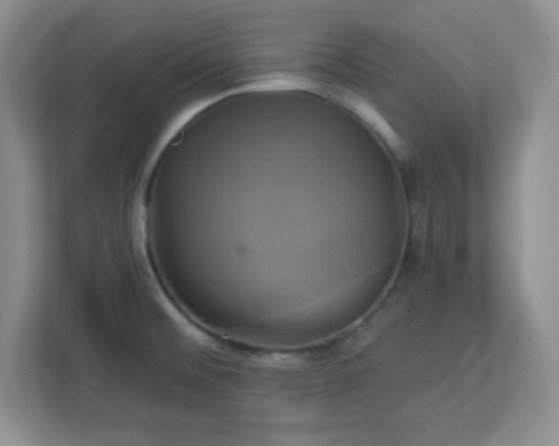 X0000113051476200909031322