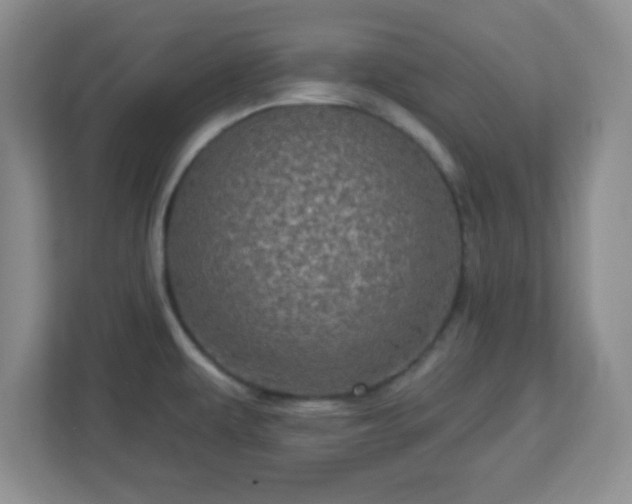 X0000113051479200909031322