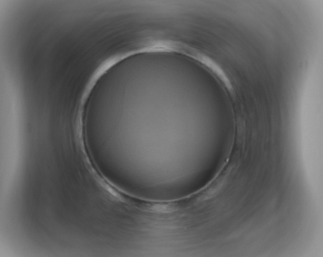 X0000113051480200909031322