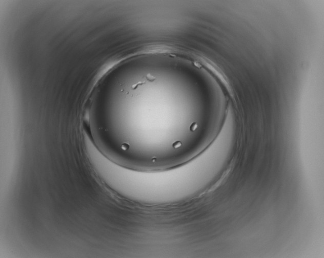 X0000113051481200909031322