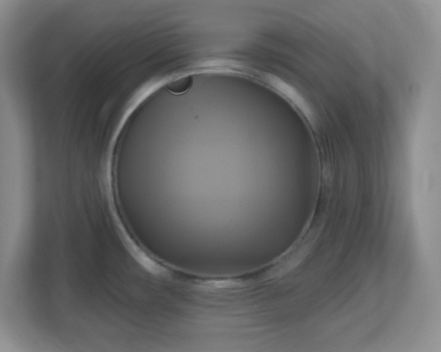 X0000113051482200909031322