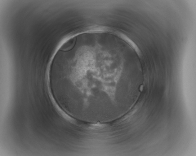 X0000113051483200909031322