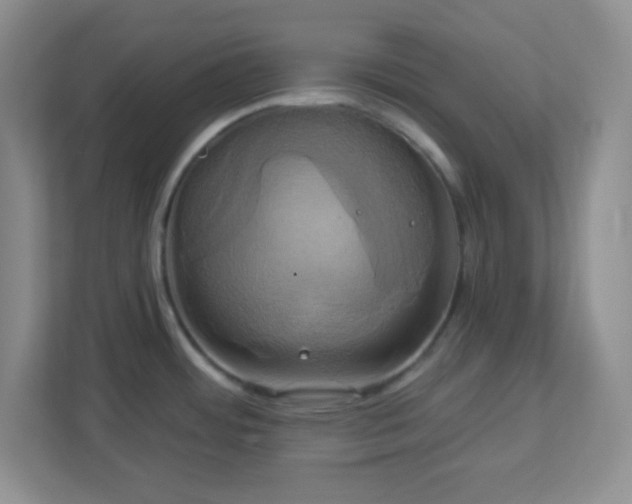 X0000113051484200909031322