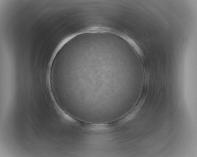 X0000113051486200909031322